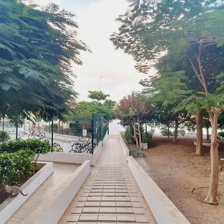 Sol Vista אדחה