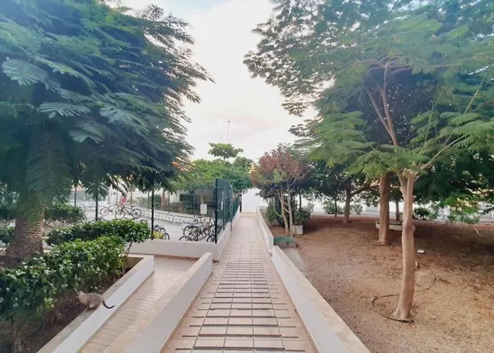 Sol Vista أذيخي